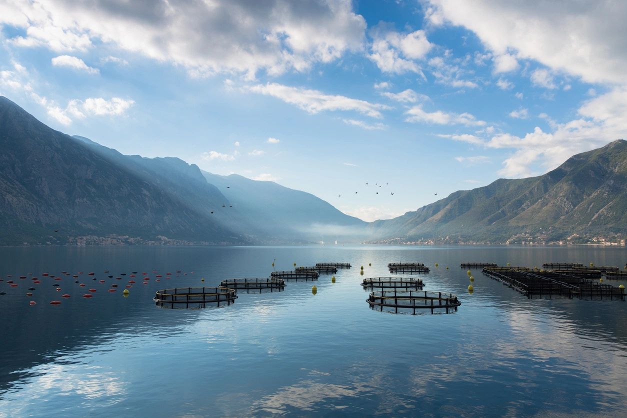 Calm lake with fish farms and mountains under a partly cloudy sky.
